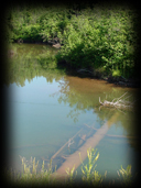 751 Mineral River